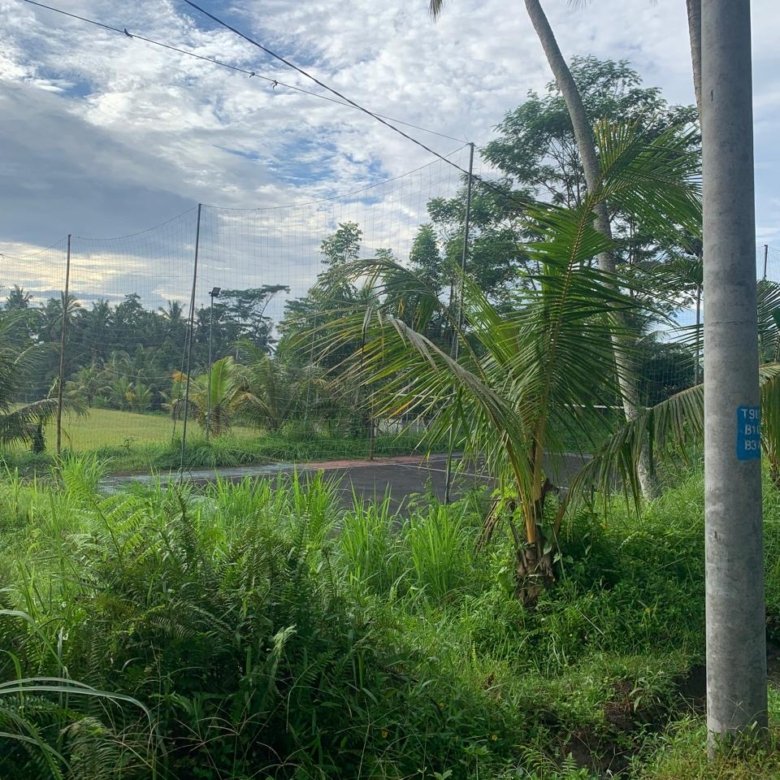 Ubud Pejeng Land For Lease 7 Are