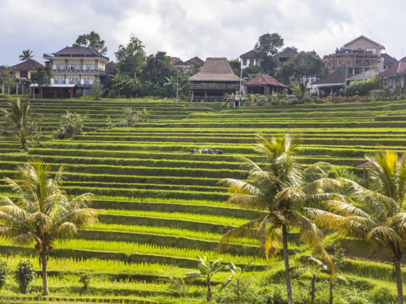 land for sale in bali