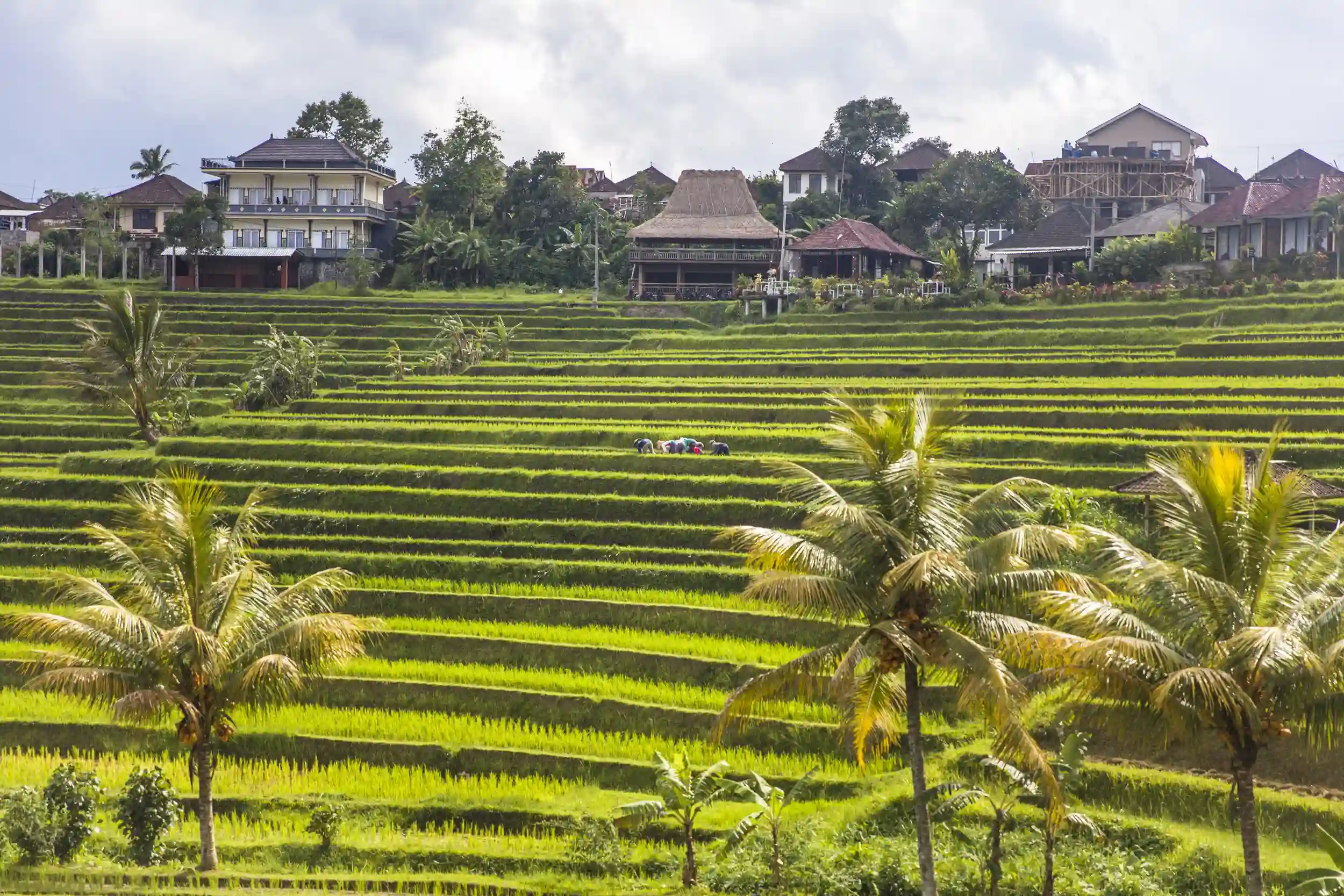 land for sale in bali