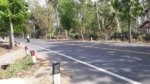 Jembrana Main Road Land Sale 87 Are