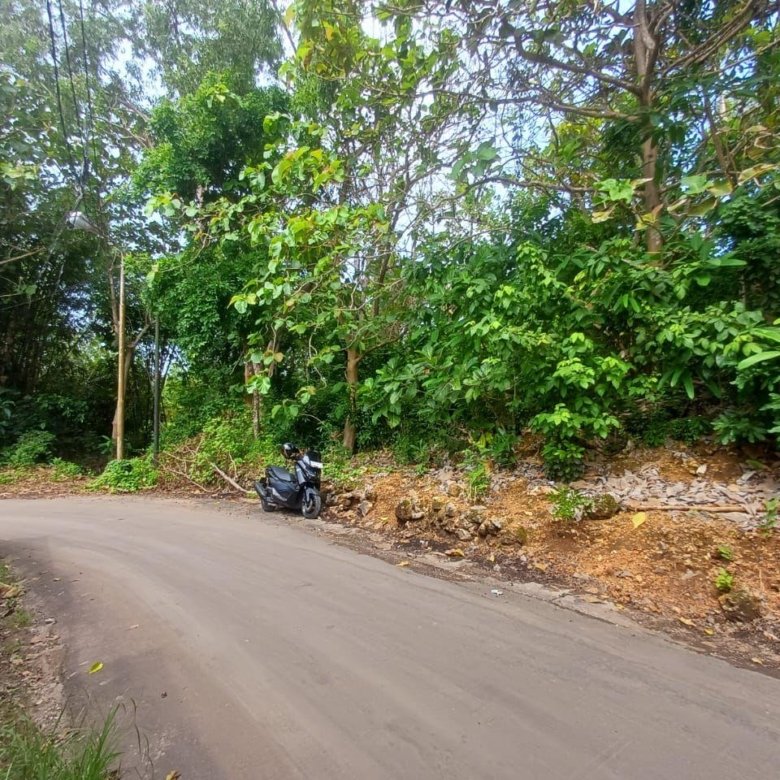 Pecatu Near Beach Land Sale 19 Are