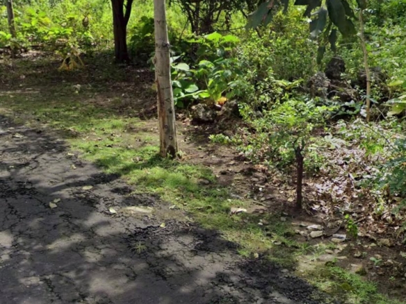 Freehold Land in Balangan Jimbaran, Bali — 60 Are, Near Beach
