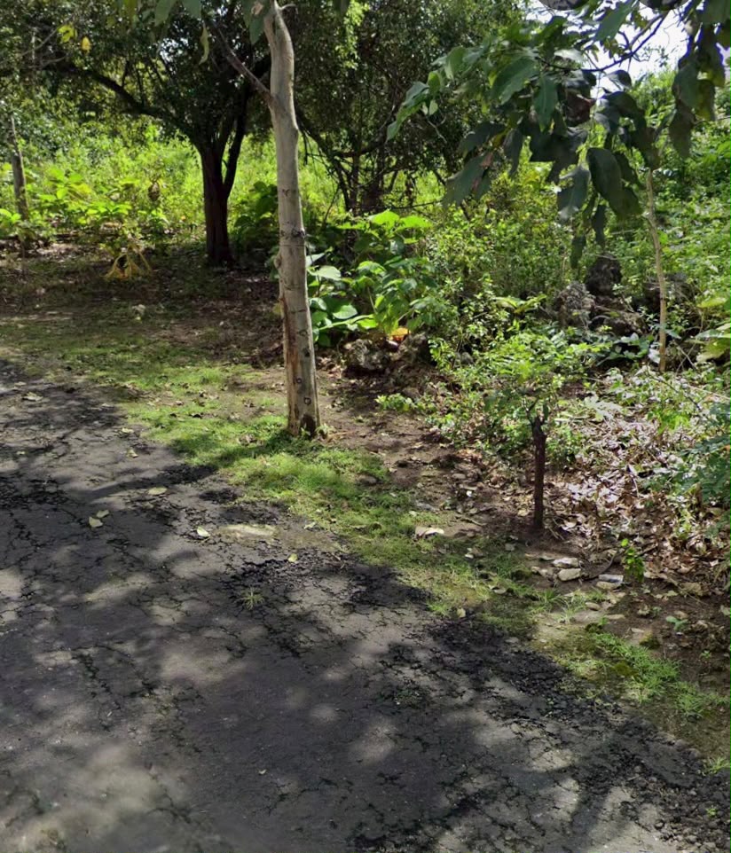 balangan-land-60 Freehold Land in Balangan Jimbaran, Bali — 60 Are, Near Beach