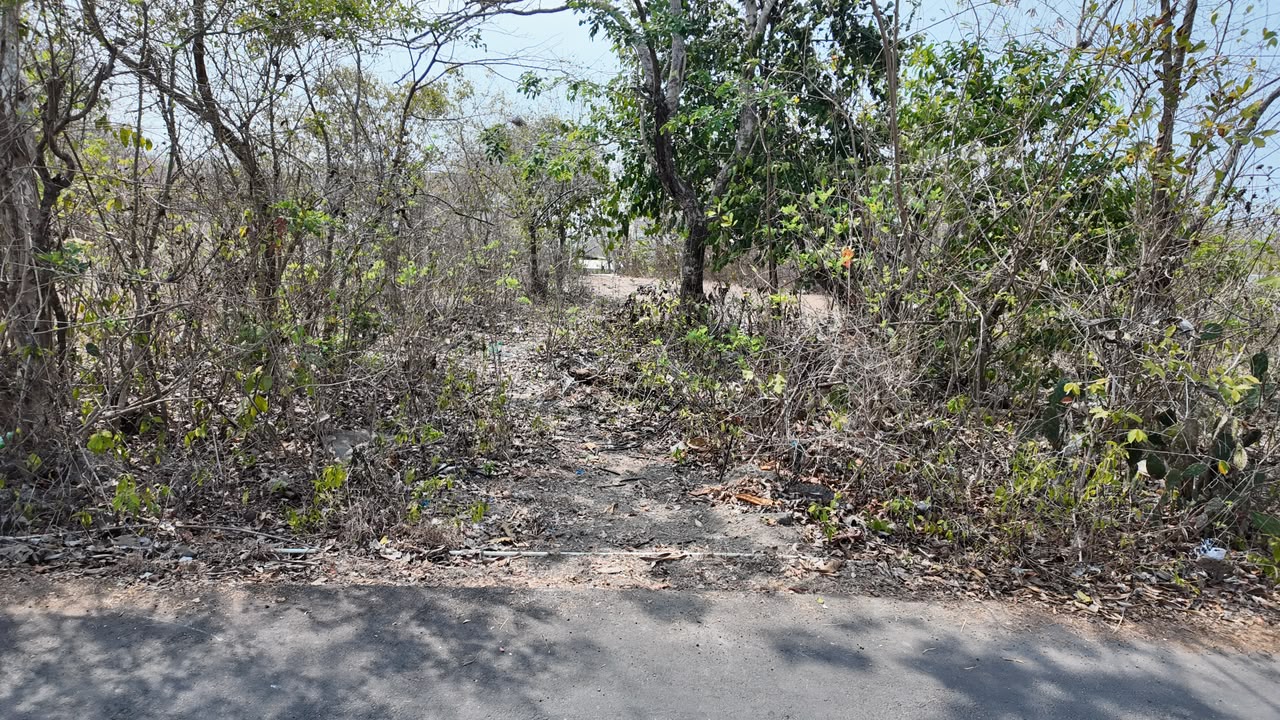 Leasehold Land In Kutuh, Bali  —  15 Are, Ocean View Gunung Payung