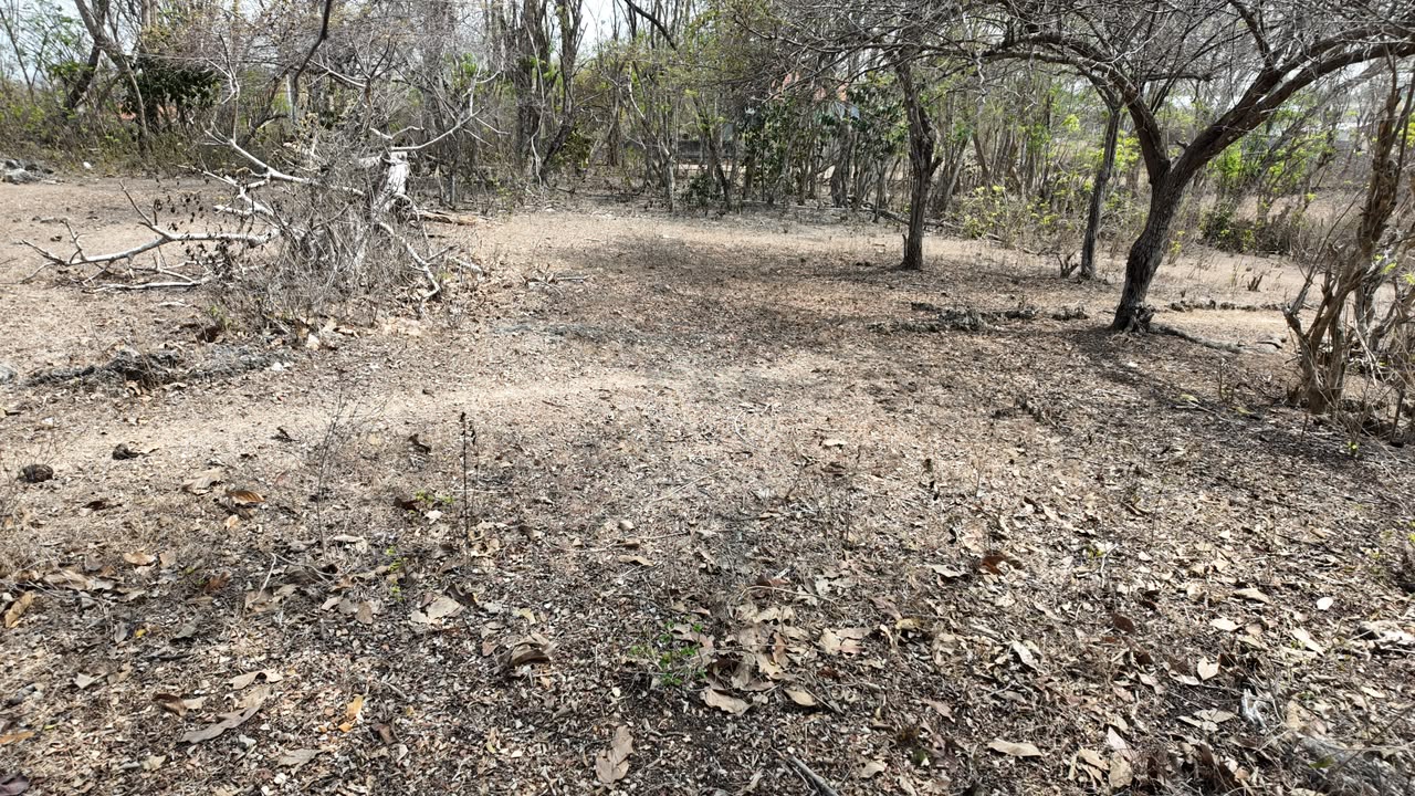 Leasehold Land In Kutuh, Bali  —  15 Are, Ocean View Gunung Payung