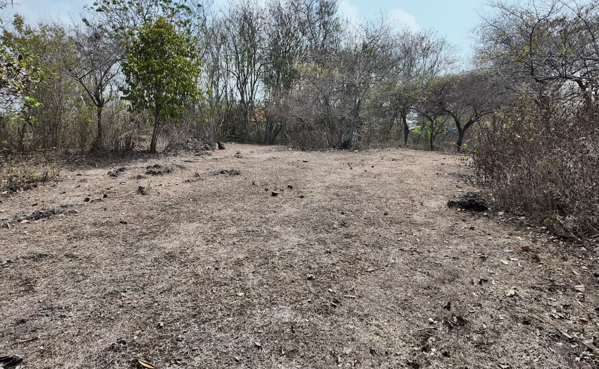 Leasehold Land In Kutuh, Bali  —  15 Are, Ocean View Gunung Payung