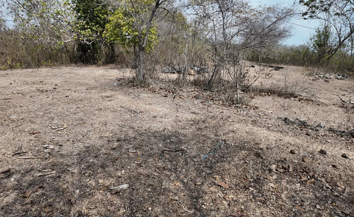 Leasehold Land In Kutuh, Bali  —  15 Are, Ocean View Gunung Payung