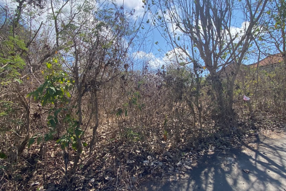 Leasehold Land in Kutuh, Bali — 7 Are, Ocean View Gunung Payung
