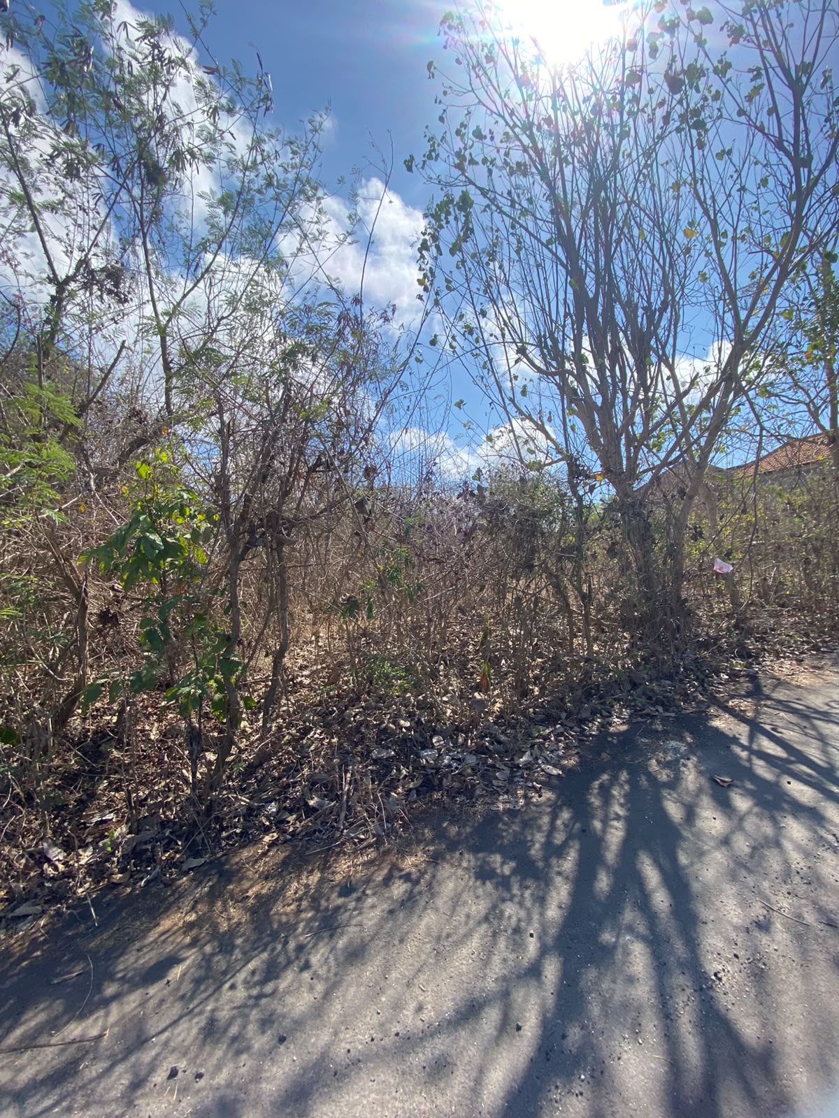 Leasehold Land in Kutuh, Bali — 7 Are, Ocean View Gunung Payung