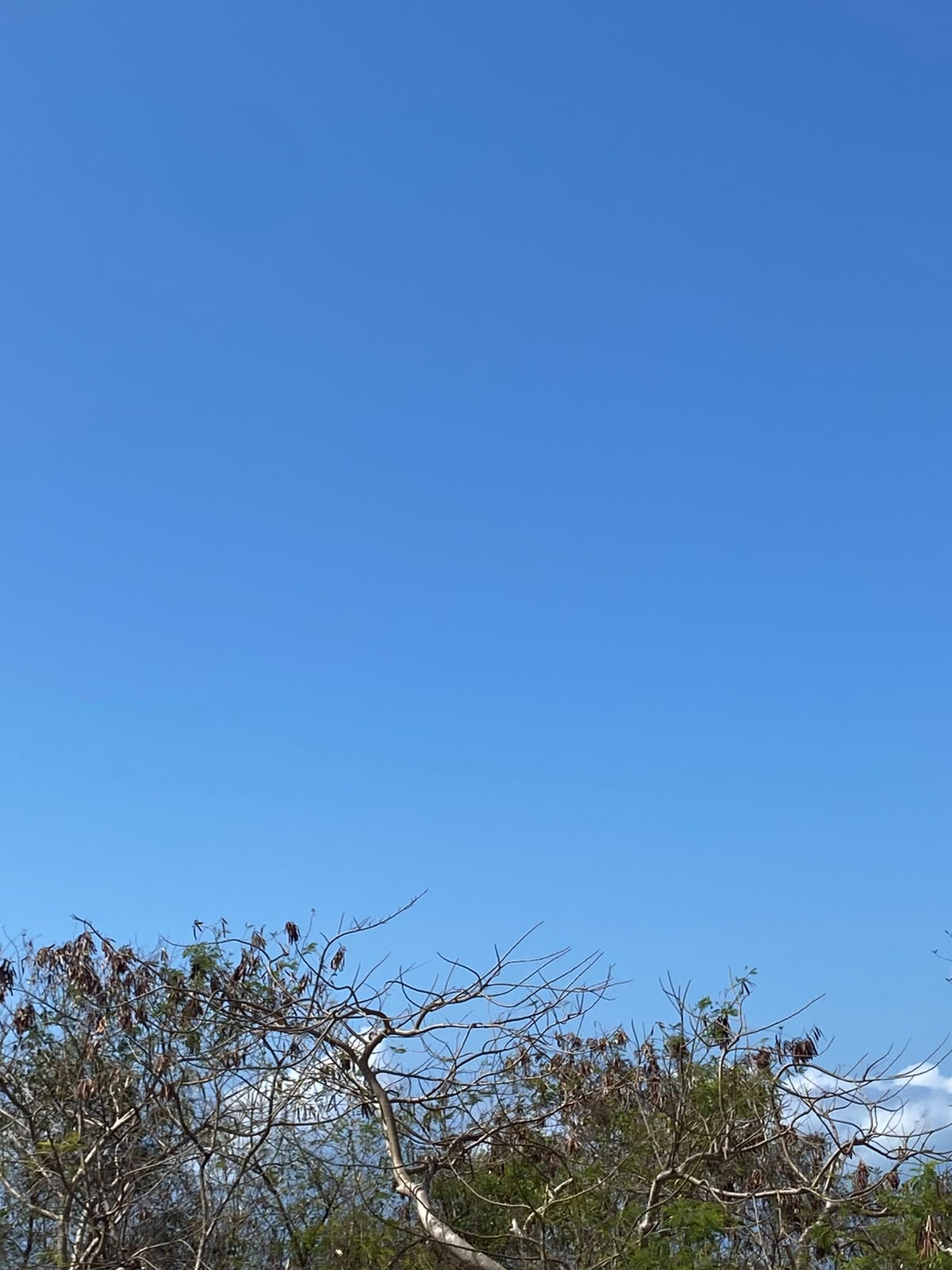 Leasehold Land in Kutuh, Bali — 7 Are, Ocean View Gunung Payung
