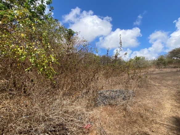 Freehold Land in Nusa Dua, Bali — 100 Are, Below Price