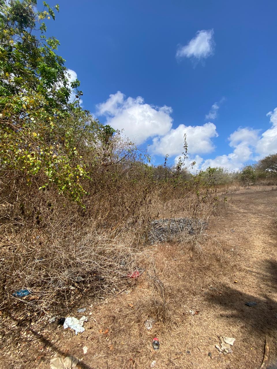 Freehold Land in Nusa Dua, Bali — 100 Are, Below Price