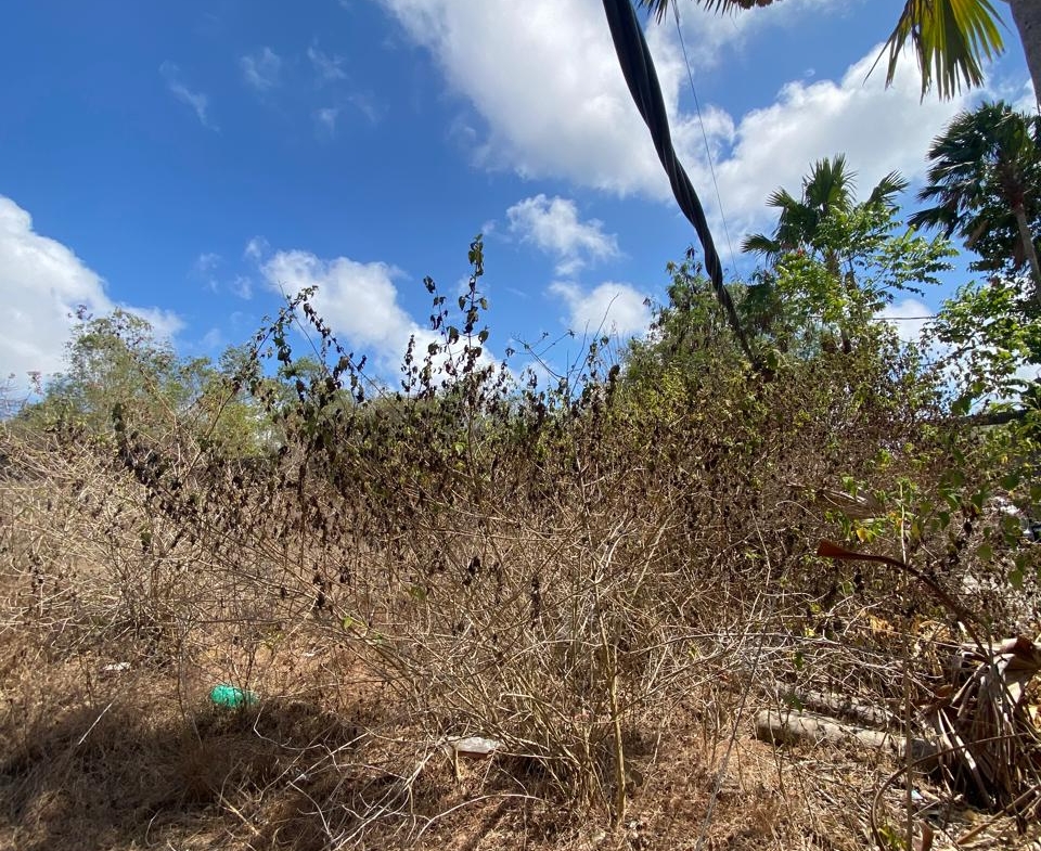 Freehold Land in Nusa Dua, Bali — 100 Are, Below Price