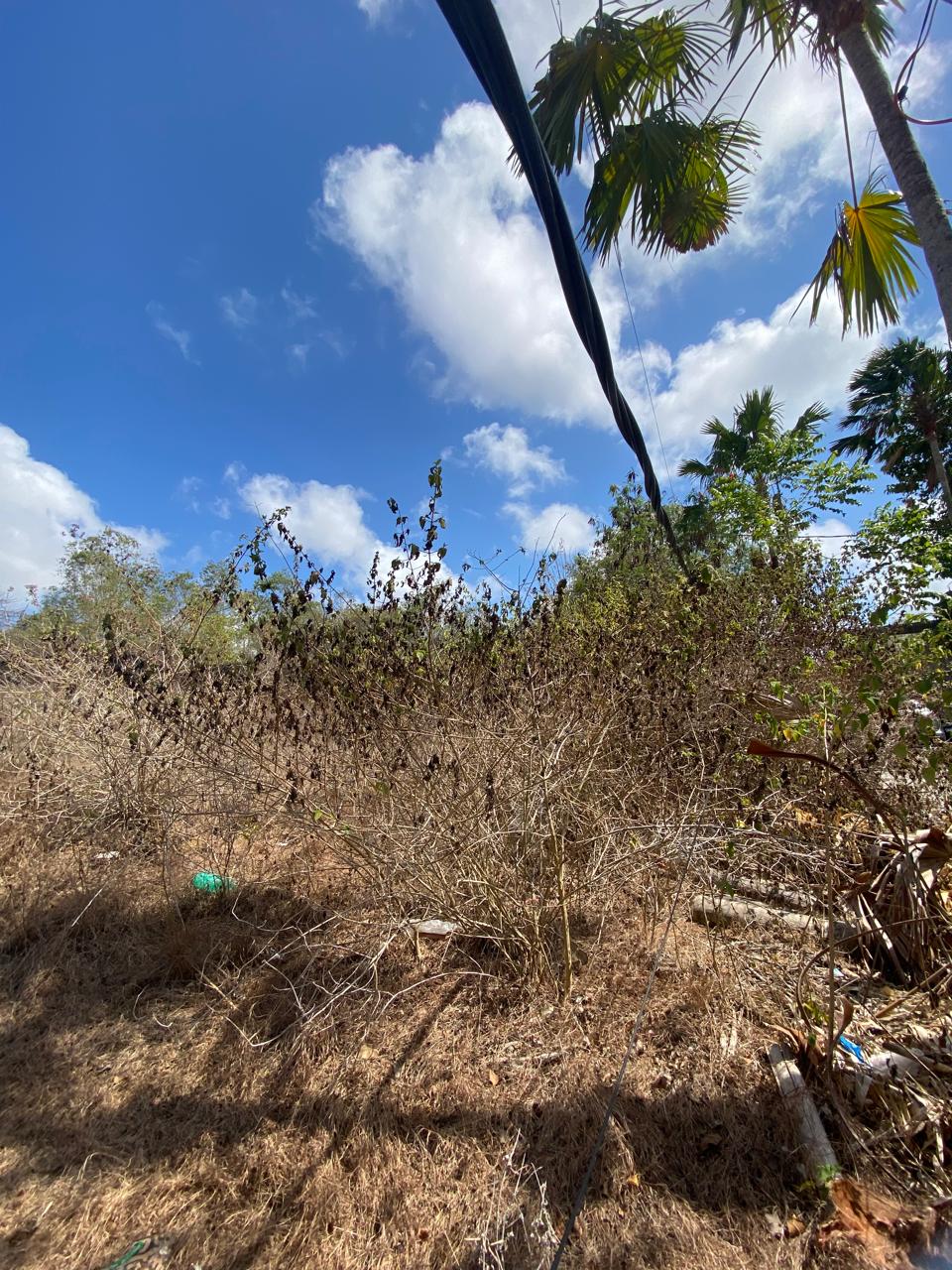 Freehold Land in Nusa Dua, Bali — 100 Are, Below Price