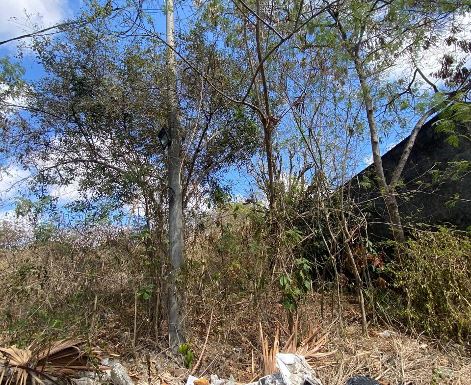 Freehold Land in Nusa Dua, Bali — 100 Are, Below Price