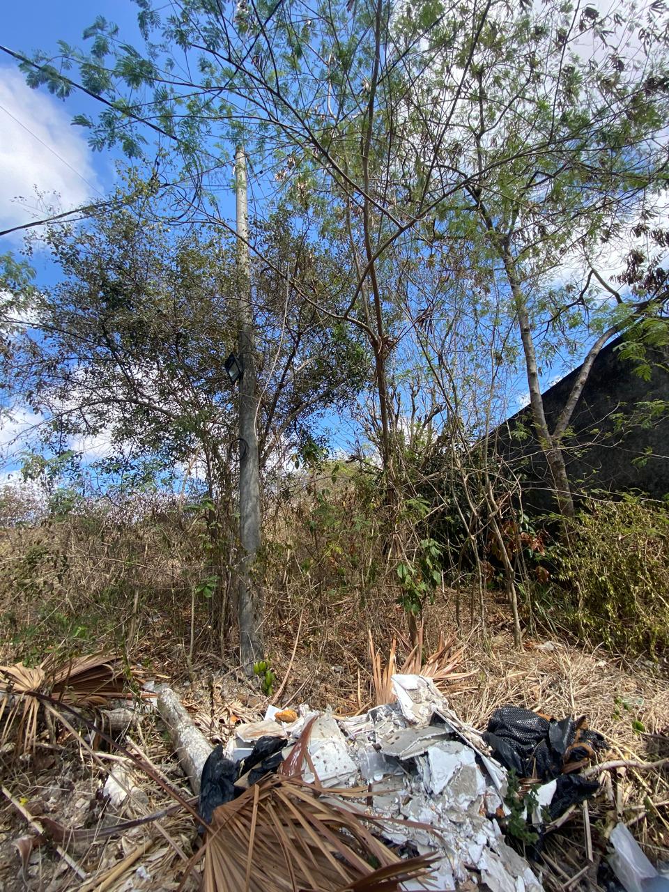 Freehold Land in Nusa Dua, Bali — 100 Are, Below Price