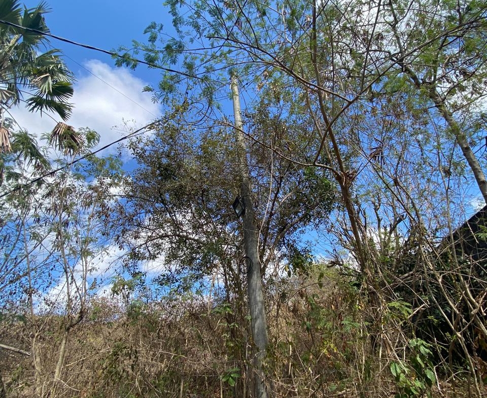Freehold Land in Nusa Dua, Bali — 100 Are, Below Price