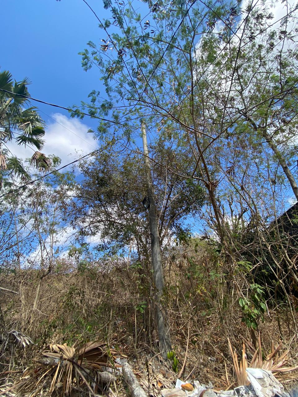 Freehold Land in Nusa Dua, Bali — 100 Are, Below Price