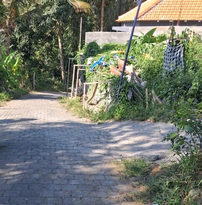Leasehold Land in Ubud, Bali — 7 Are Rice Field View