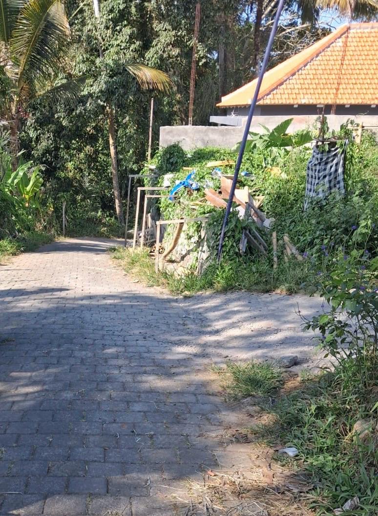 Leasehold Land in Ubud, Bali — 7 Are Rice Field View