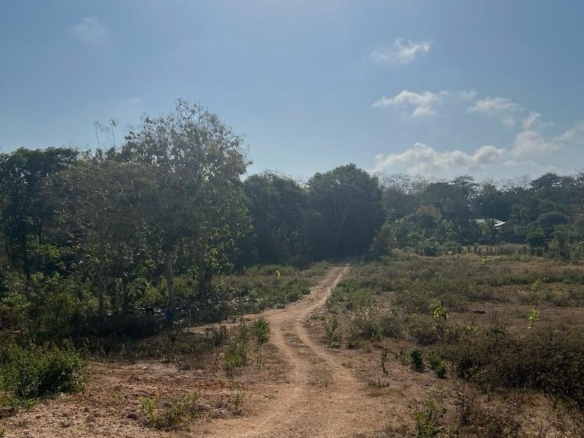 97 Are Freehold — Conversion Potential Land for Sale in Kutuh Bali