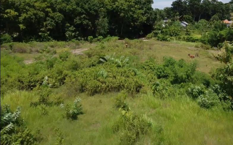 97 Are Freehold — Conversion Potential Land for Sale in Kutuh Bali