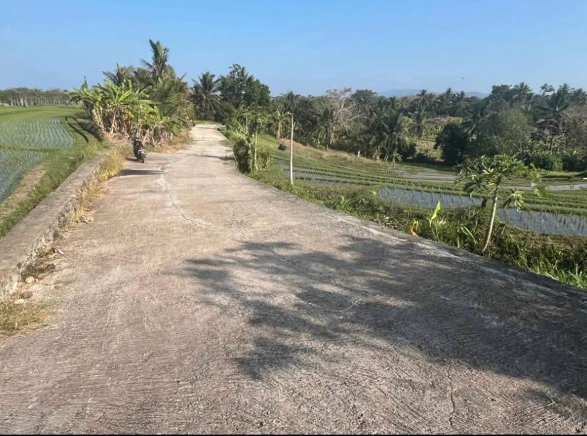 Freehold Land in Tabanan, Bali — 40 Are, Rice Field View