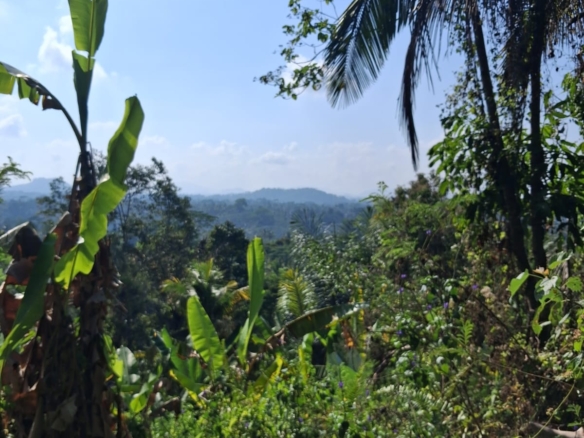 Leasehold Land in Ubud, Bali — 7 Are Montain View
