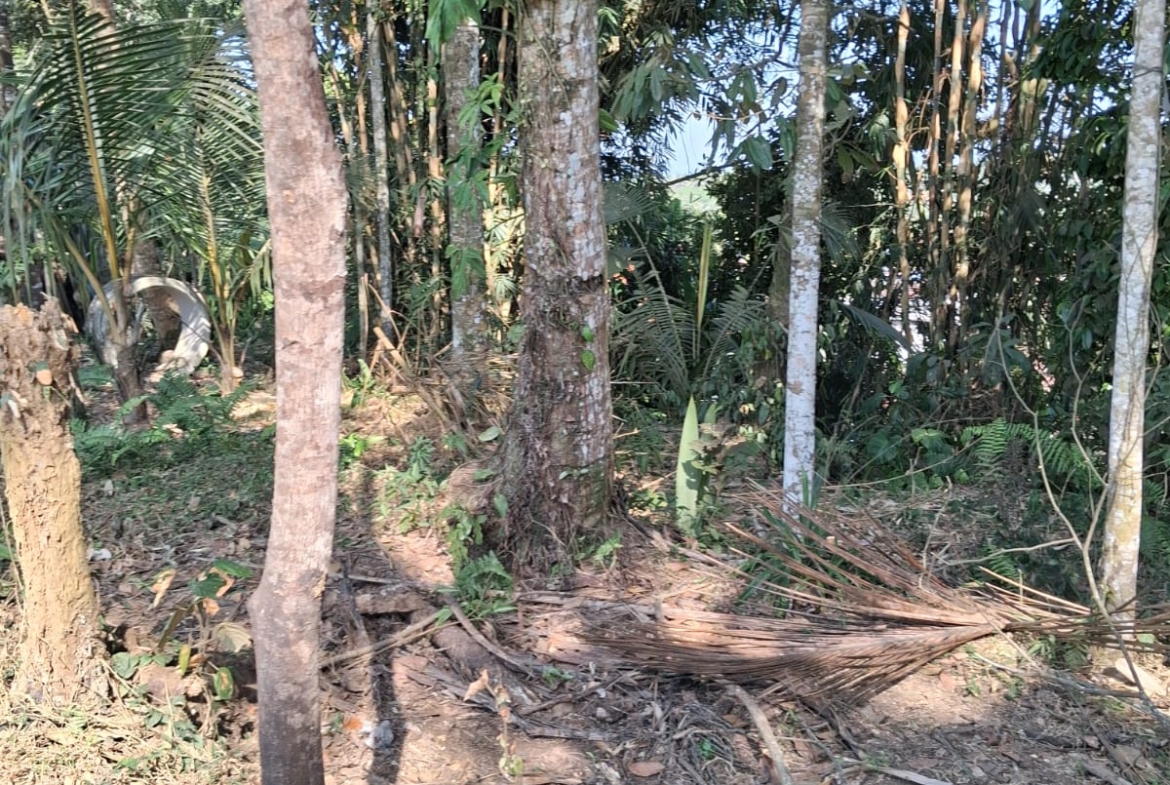 Leasehold Land in Ubud, Bali — 7 Are Montain View