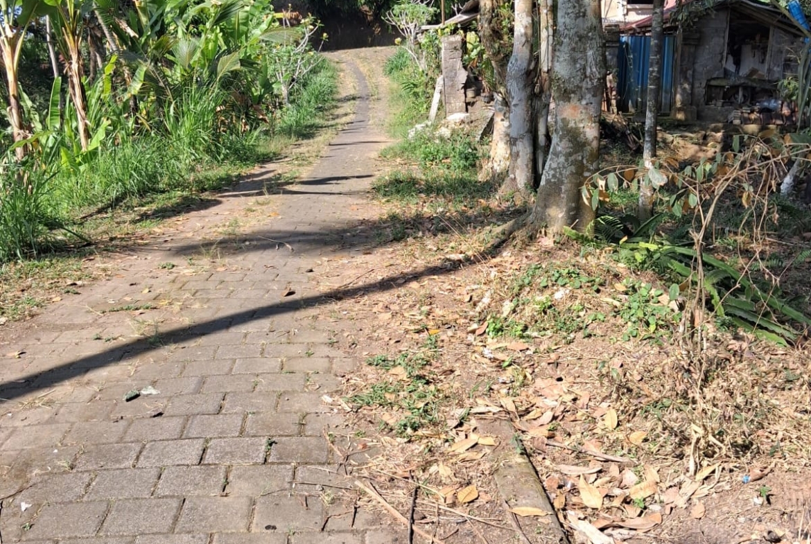 Leasehold Land in Ubud, Bali — 7 Are Montain View