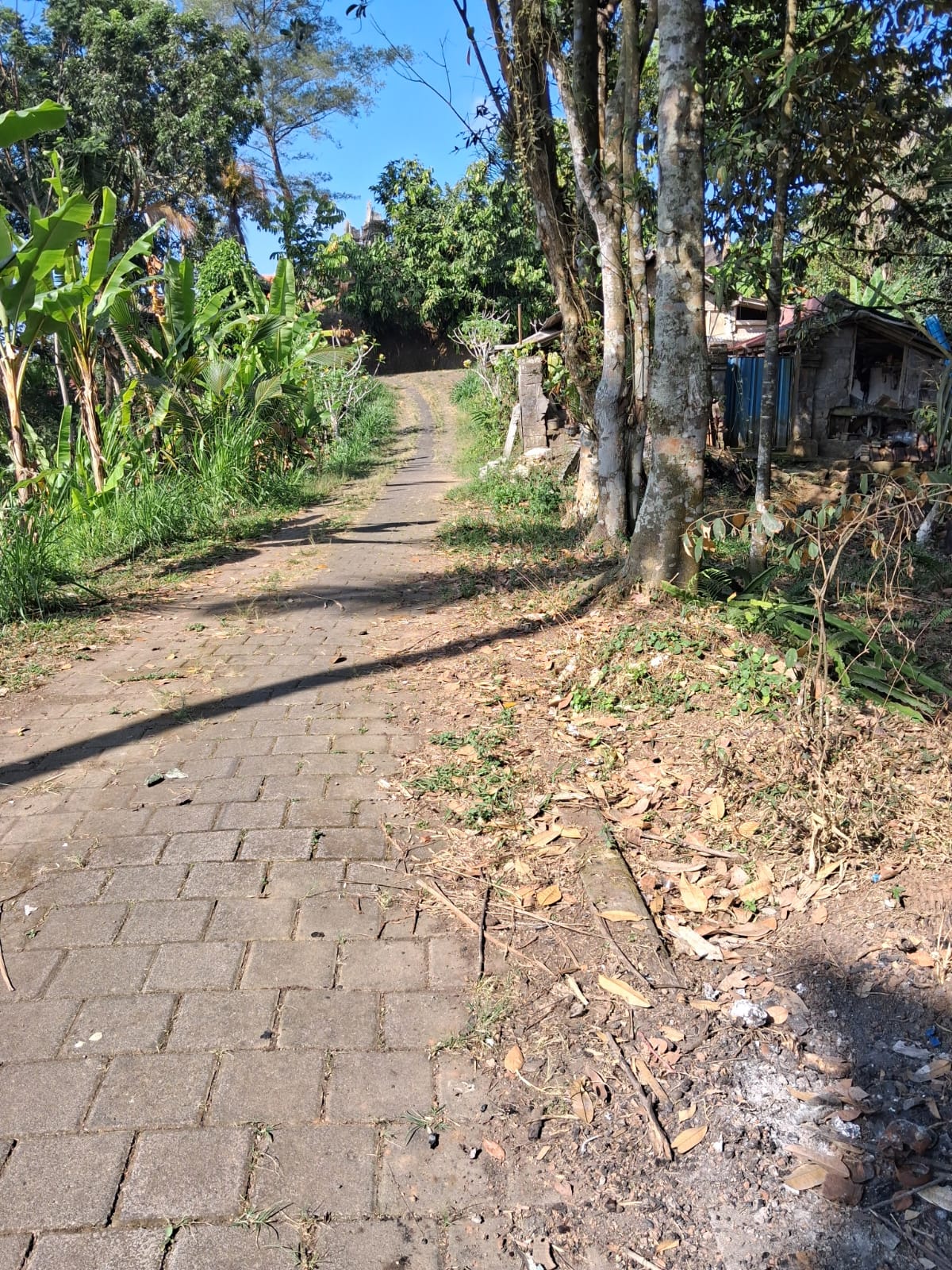 Leasehold Land in Ubud, Bali — 7 Are Montain View