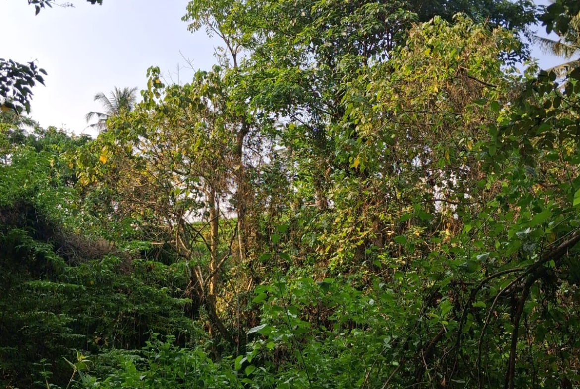 Leasehold Land In Kemenuh Ubud, Bali — 5 Are River View