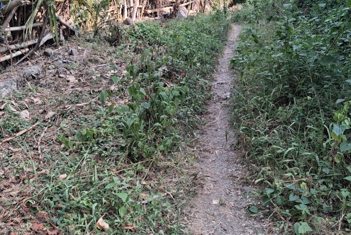 Leasehold Land In Kemenuh Ubud, Bali — 5 Are River View