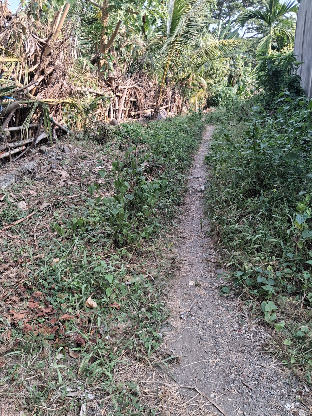 ubud kemenuh 2 Leasehold Land In Kemenuh Ubud, Bali — 5 Are River View