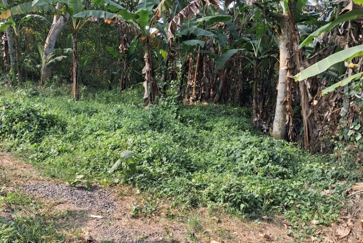 Leasehold Land In Kemenuh Ubud, Bali — 5 Are River View
