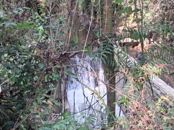 Leasehold Land In Kemenuh Ubud, Bali — 5 Are River View