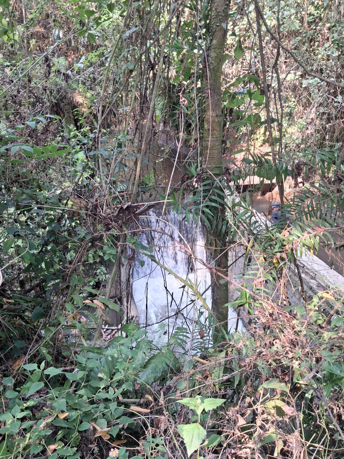 ubud kemenuh 4 Leasehold Land In Kemenuh Ubud, Bali — 5 Are River View